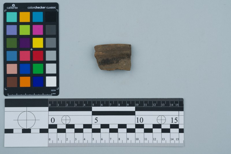 Вінчик посудини