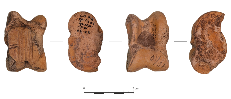 Астрагал з насічками