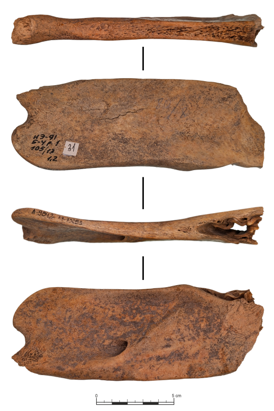 Знаряддя з кістки