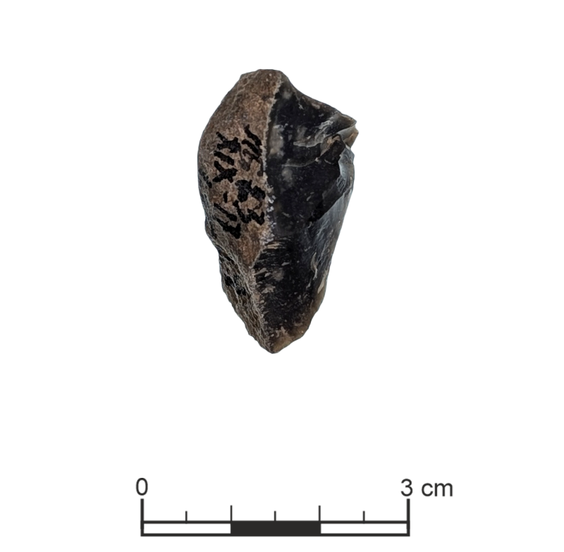 Заготовка нуклеуса