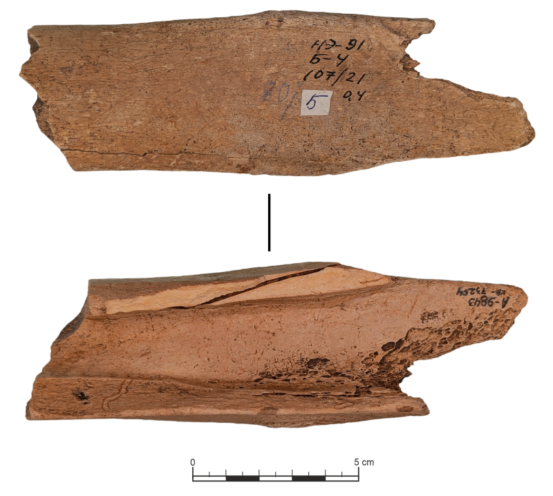 Виріб з кістки