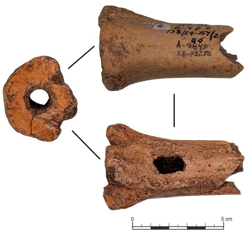 Знаряддя праці з кістки