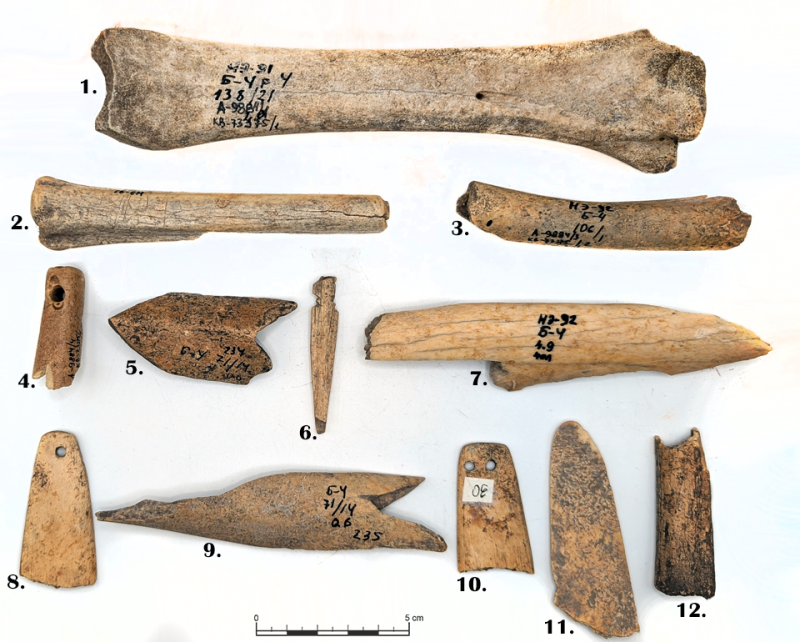 Колекція виробів із кістки