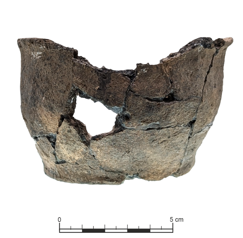 Банка (фрагментована)