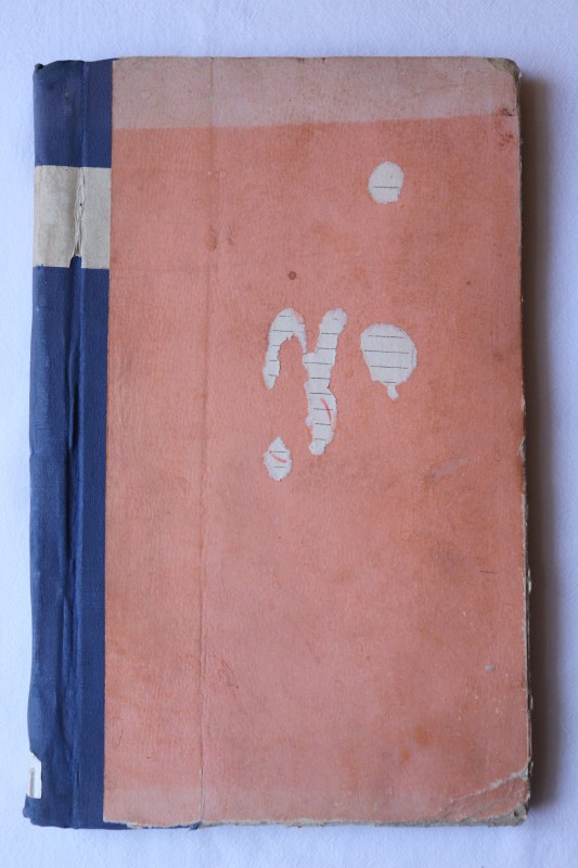 Метричні книги для запису народжених, одружених та померлих на 1913 рік Свято-Успенської церкви міста Єлисаветграда