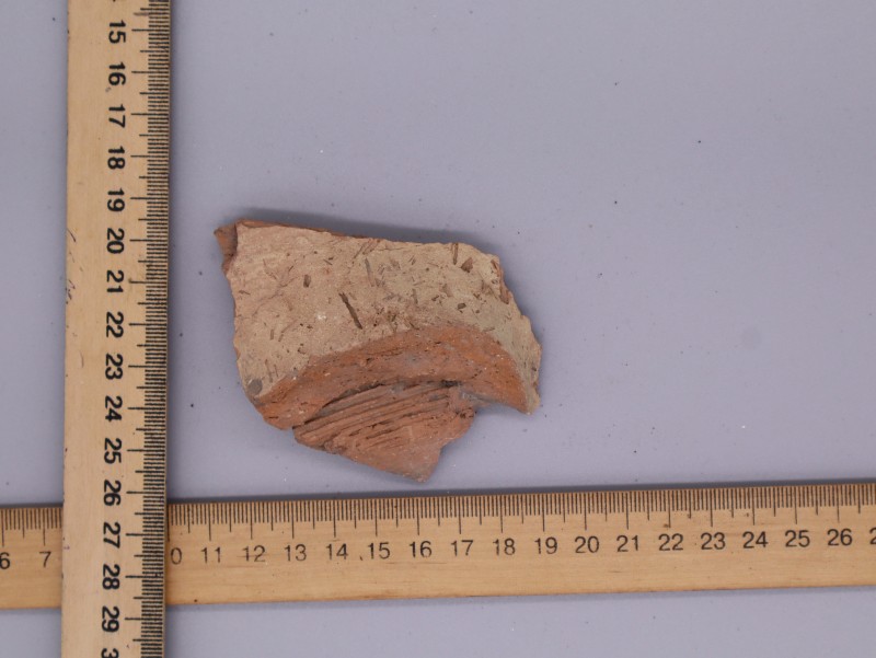 Стінка амфори.