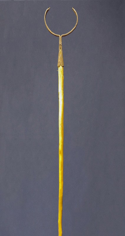 Рогач господарський