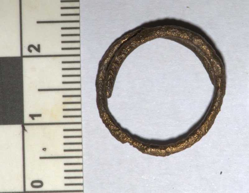 Кільце скроневе