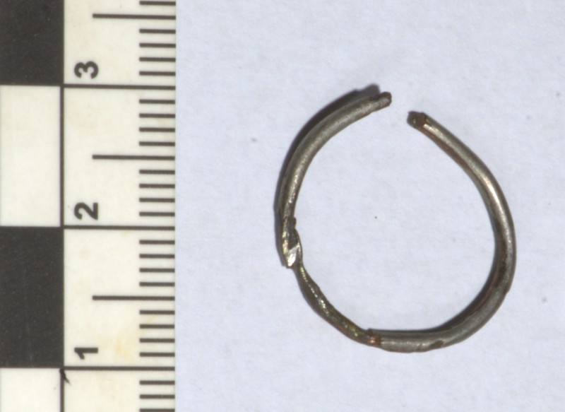 Кільце скроневе