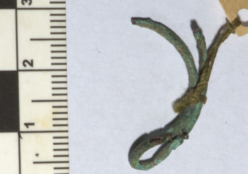 Кільце скроневе (фрагмент)