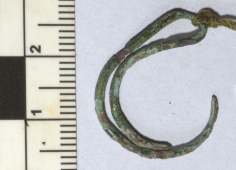 Кільце скроневе (фрагмент)