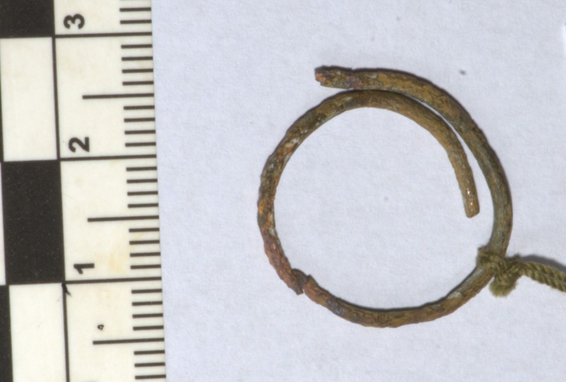 кільце скроневе