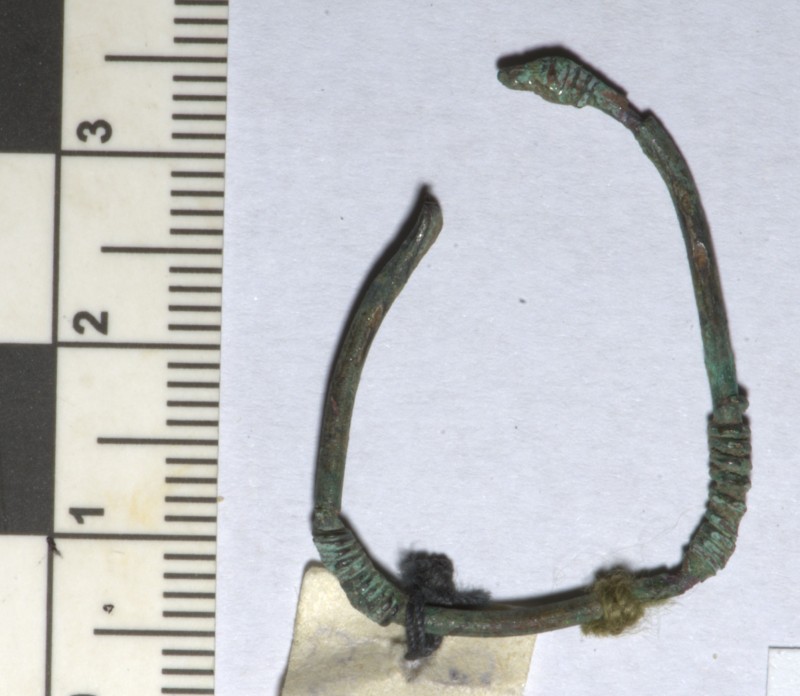 кільце скроневе