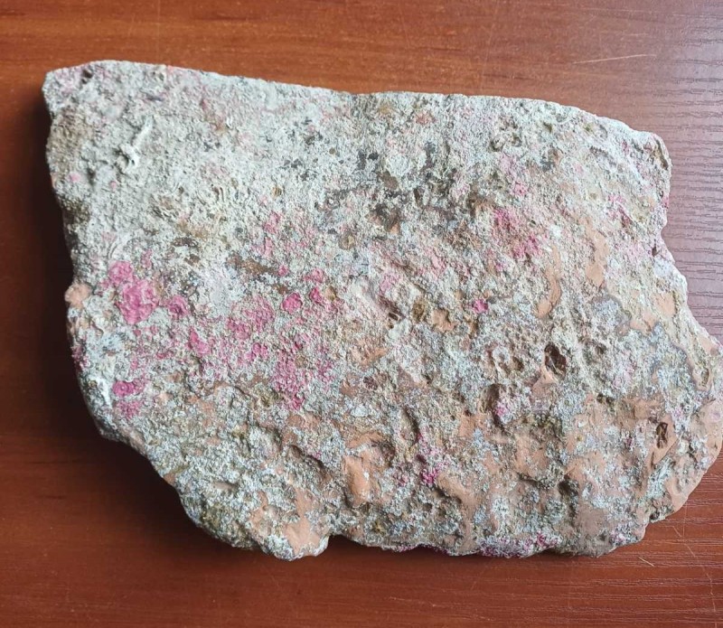 Фрагмент давньогрецької амфори