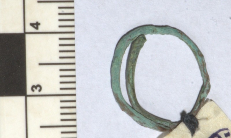 Кільце скроневе