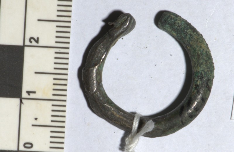 кільце скроневе