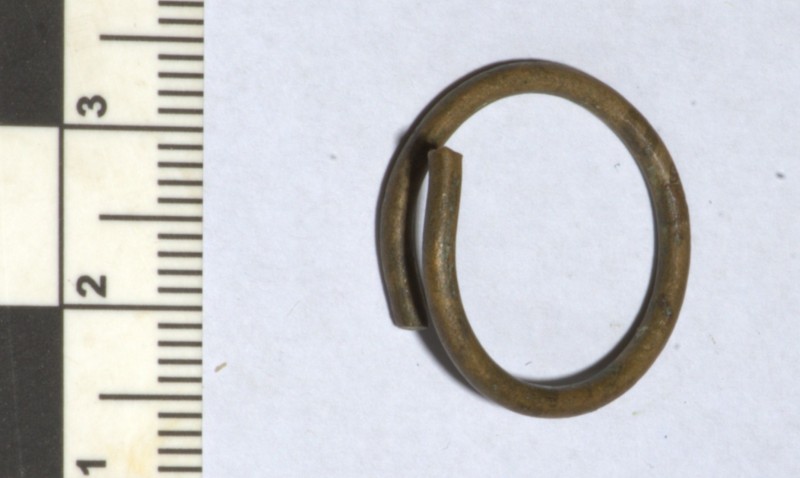 кільце скроневе