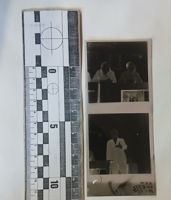 Фотонегатив