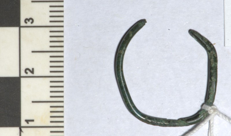 кільце скроневе