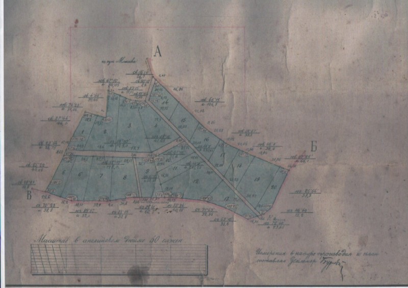 Копія плану садибних ділянок хутора Млинок Київської губернії за 1925 рік