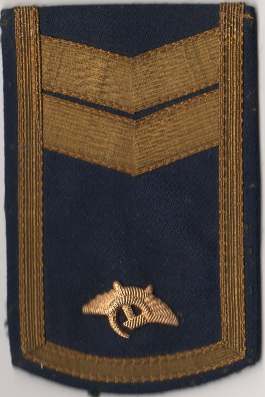 Погон-наплічний знак