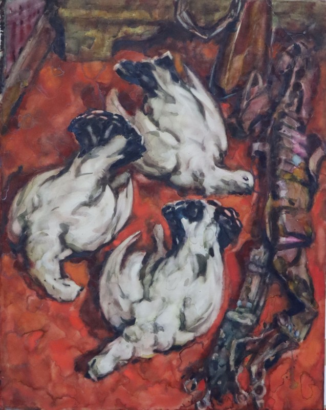 Білі куріпки
