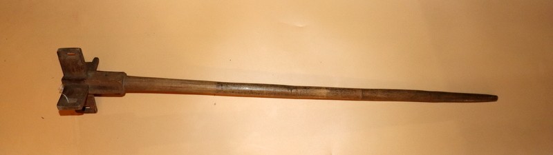 Збедела (Костина)