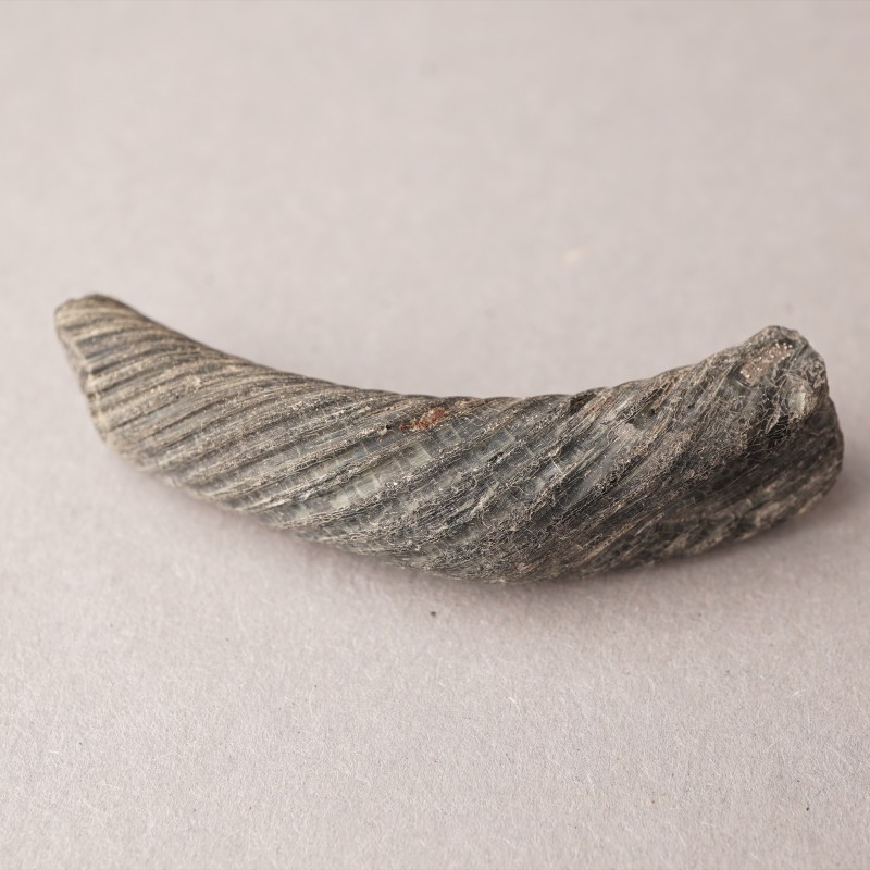 Фрагмент скляного браслета XII - перша половина XIII ст.