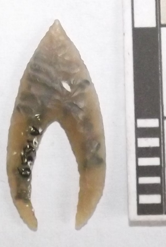 Вістря стріли