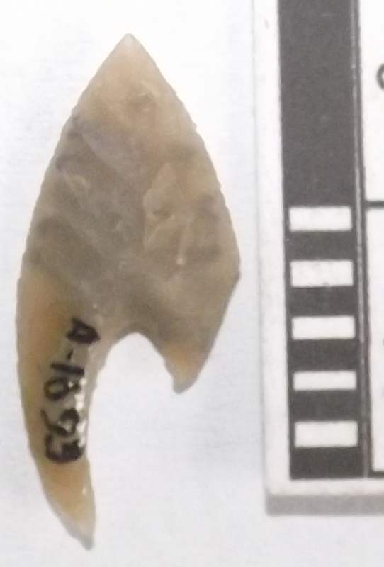 Вістря стріли