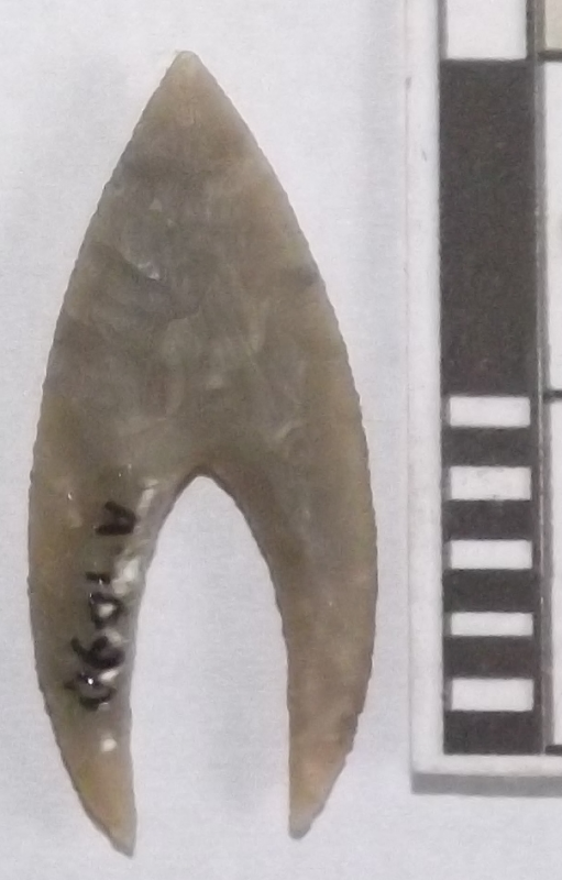 Вістря стріли