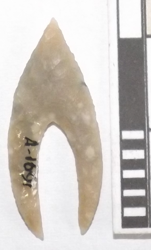 Вістря стріли