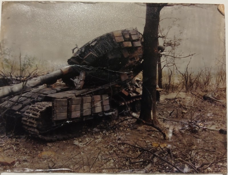 Із серії «Степ Мікі Маусів». «Т – 72, Т – 64. Донецька область. 2014».