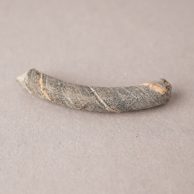 Фрагмент скляного браслета XII - перша половина XIII ст.