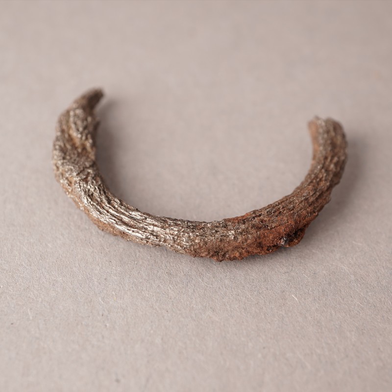 Фрагмент кінських вудил XII - перша половина XIII ст.