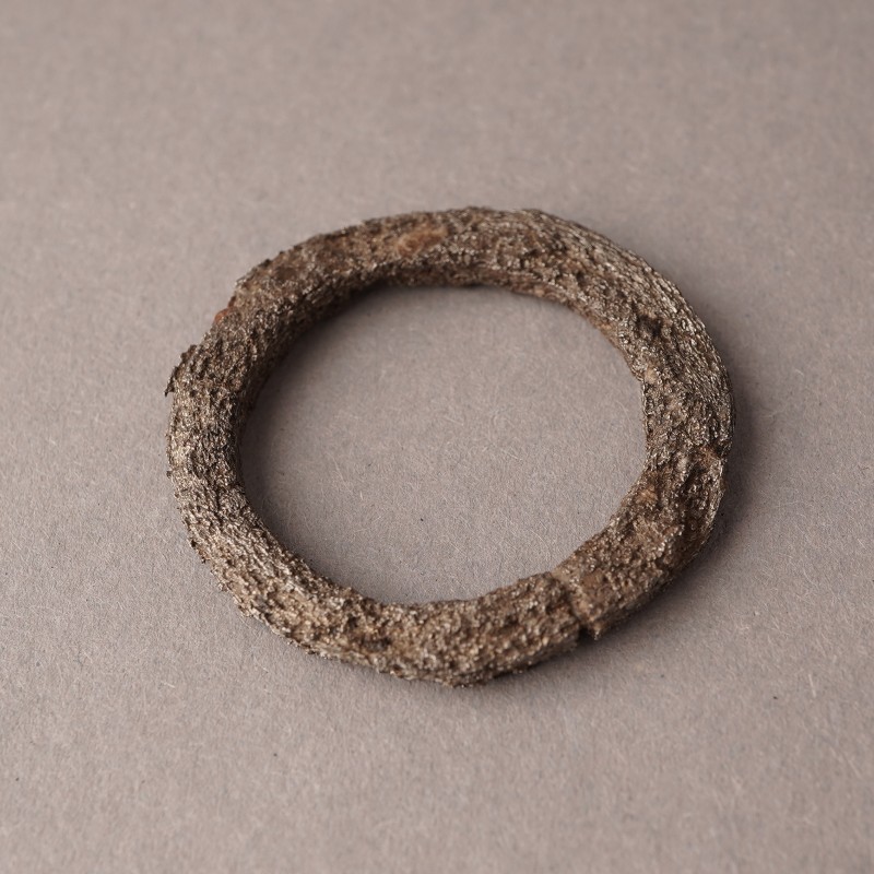 Фрагмент кінських вудил XII - перша половина XIII ст.