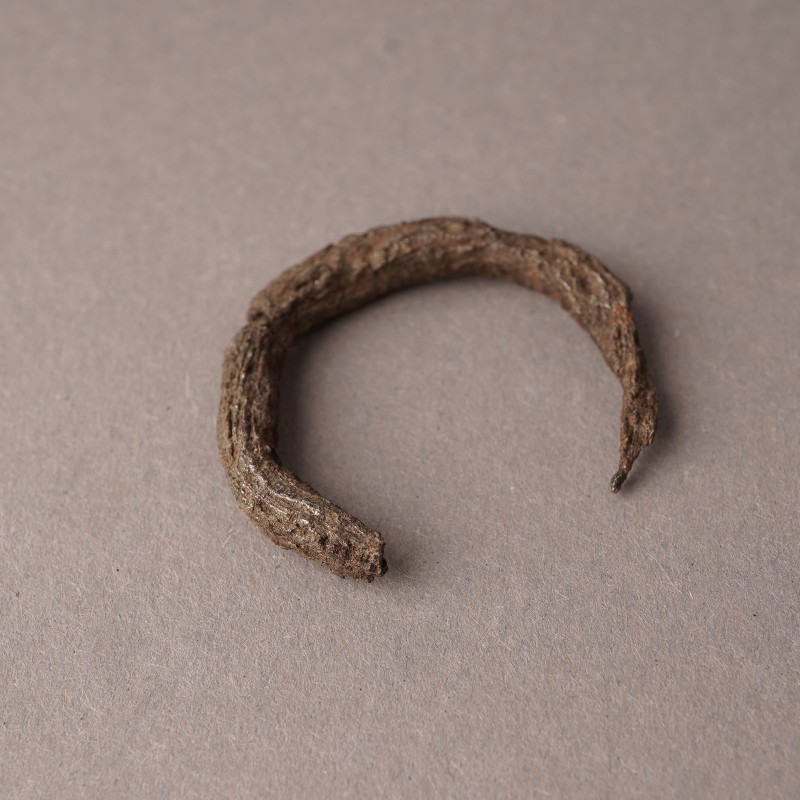 Фрагмент кінських вудил XII - перша половина XIII ст.