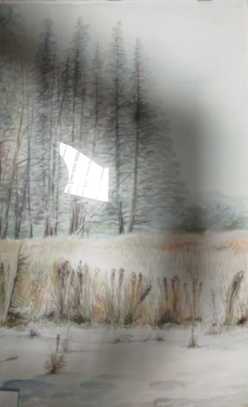 Картина. Терновський Р. "ЗимовІ луки".