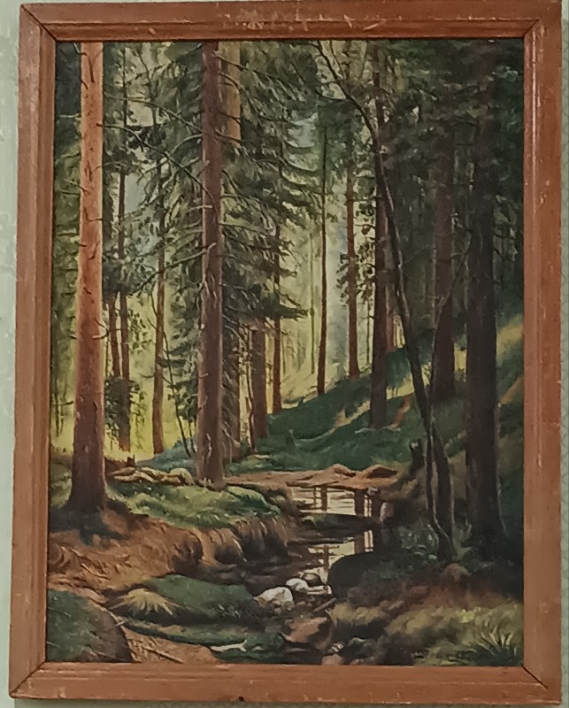 "Сосновий бір"