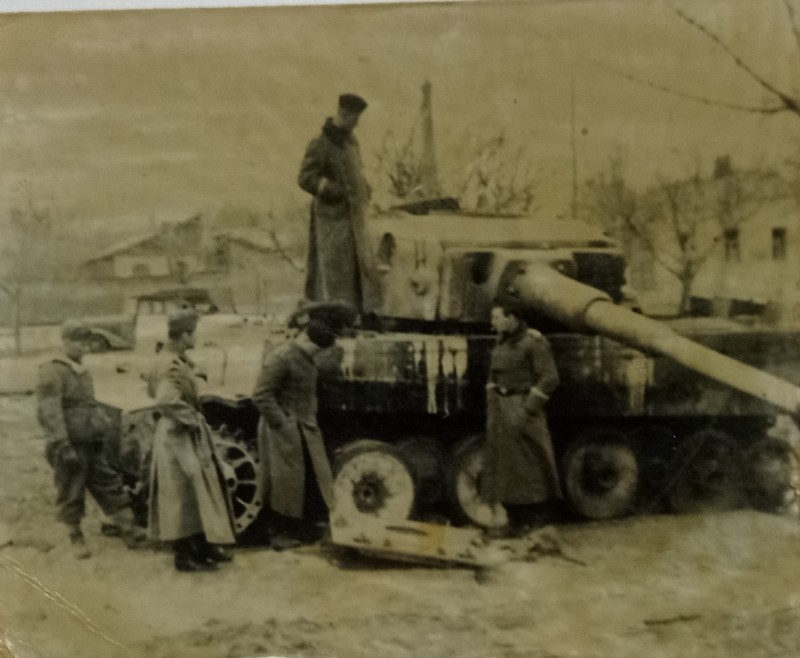 Із серії «Степ Мікі Маусів». «Pz. KPFW, VI TIGER, Pz. KPFW. IV. Харківська область, 1943».