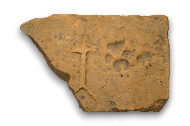 Фрагмент цегли з клеймом Вишнівецьких