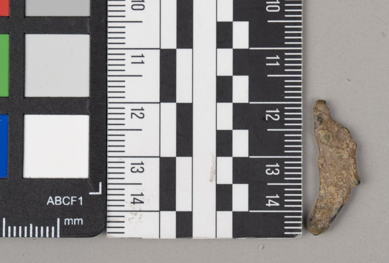 дельфін ольвійський (монета)