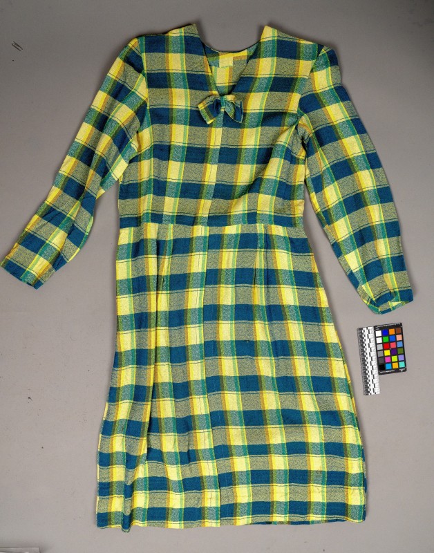 Сукня в клітинку жовтого та синього кольорів