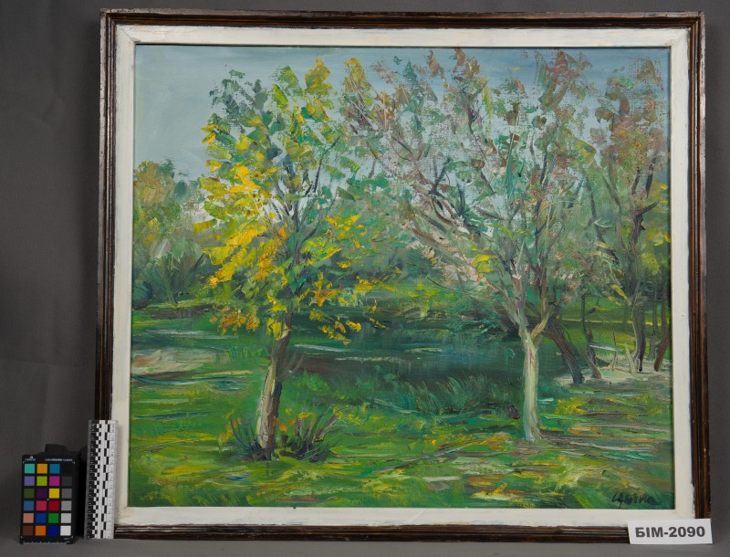 Картина  Андрія Ципи "Долина річки Савранки"