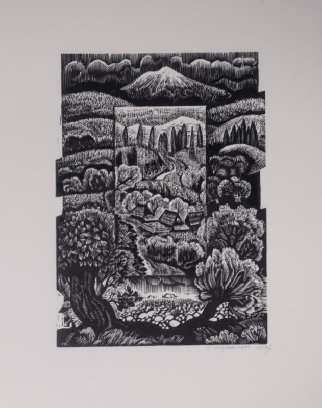 Стратілат Микола Іванович  "Зелене Закарпаття."