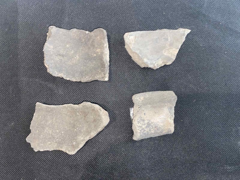 Рештки із стоянки скіфів та ранніх слов'ян