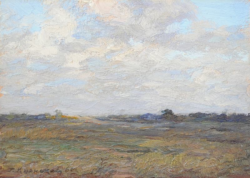 Хмари над степом. Херсонщина