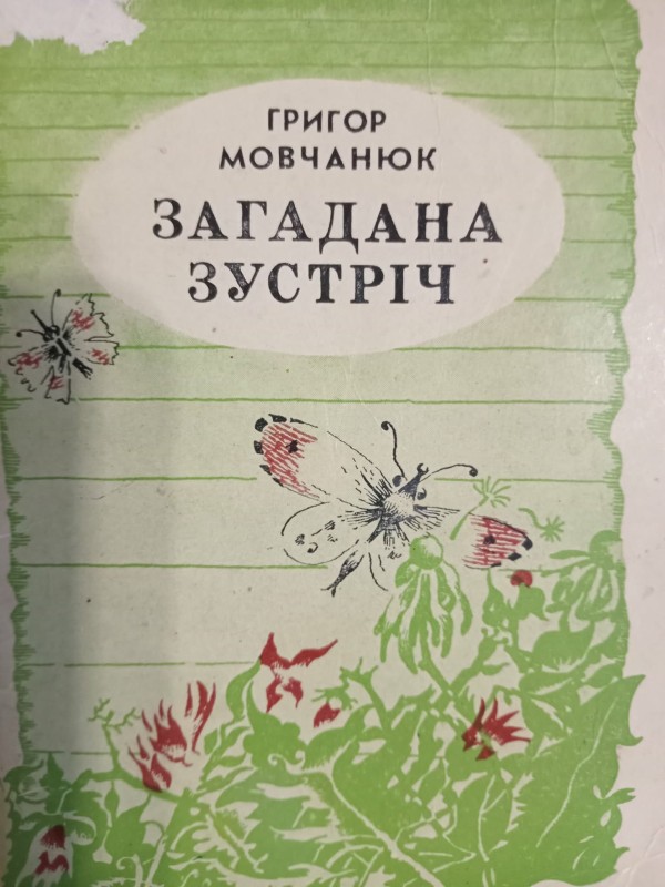 книга "Загадана зустріч"
