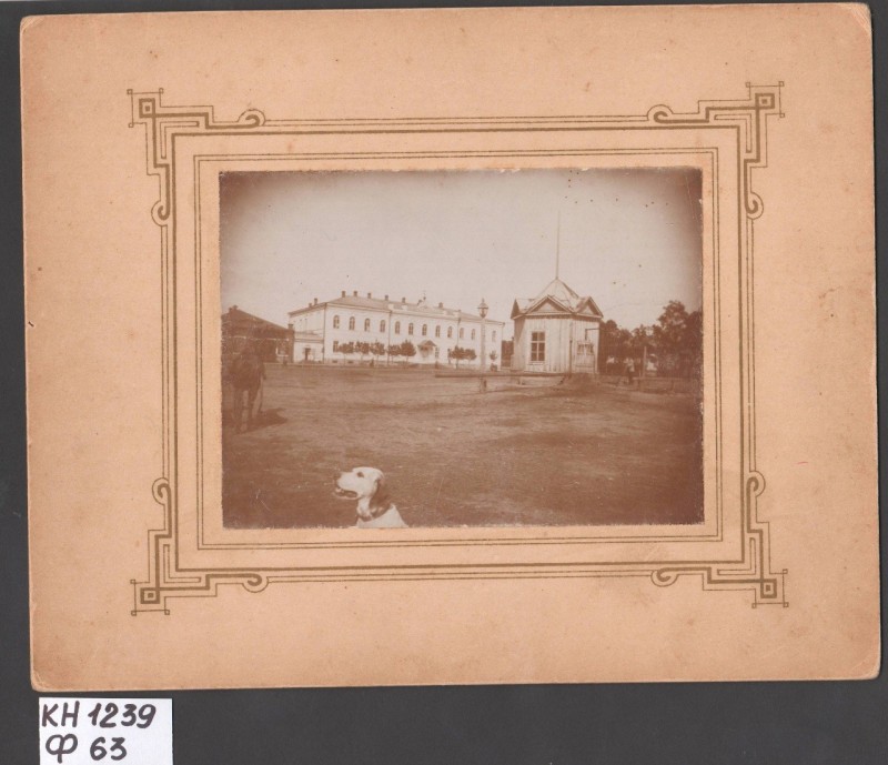 Фотографія. Чоловіча гімназія в м. Павлограді (оригінал)