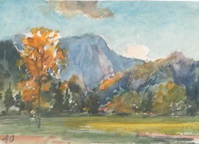 Парк Йосеміті